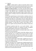 Referāts 'Uztura problēmas pusaudžiem', 9.