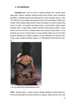 Referāts 'Uztura problēmas pusaudžiem', 15.