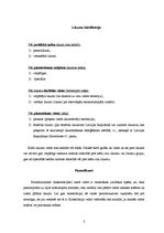 Referāts 'Kas ir likums', 2.