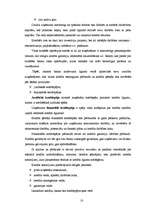 Diplomdarbs 'Daudzveidīgo nozaru uzņēmumu kreditēšanās Jelgavā un Zemgalē', 10.