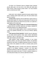 Diplomdarbs 'Daudzveidīgo nozaru uzņēmumu kreditēšanās Jelgavā un Zemgalē', 45.