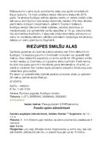 Konspekts 'Kuldīgas objekti', 3.