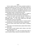 Referāts 'Politiski stipra prezidenta piemērotība patreizējiem Latvijas apstākļiem', 4.