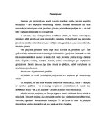 Referāts 'Politiski stipra prezidenta piemērotība patreizējiem Latvijas apstākļiem', 15.