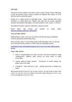 Paraugs 'Neparastākie pakalpojumi pēdējos gados un ārējās vides faktori, kas tos nosaka', 1.