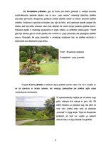 Referāts 'Zaļās infrastruktūras tīkla raksturojums Kandavas pilsētā', 4.