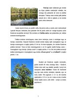 Referāts 'Zaļās infrastruktūras tīkla raksturojums Kandavas pilsētā', 5.