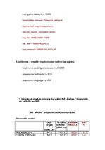 Paraugs 'Finanšu analīze - kontroldarbs', 2.