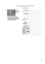 Referāts 'Особенности национальной недвижимости ', 78.