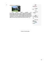 Referāts 'Особенности национальной недвижимости ', 95.