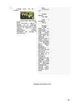 Referāts 'Особенности национальной недвижимости ', 105.