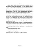 Referāts 'Tīmekļa vietne kā teātra reklāmas elements', 3.