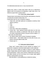 Referāts 'Tīmekļa vietne kā teātra reklāmas elements', 9.