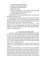 Referāts 'Tīmekļa vietne kā teātra reklāmas elements', 10.