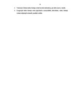 Referāts 'Tīmekļa vietne kā teātra reklāmas elements', 24.