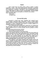 Referāts 'Optika', 2.