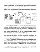 Referāts 'Anoreksija un bulīmija', 6.