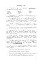 Referāts 'Mārketinga būtība', 1.