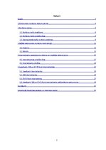 Referāts 'Elektroniskās norēķinu sistēmas', 2.