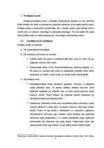 Referāts 'Elektroniskās norēķinu sistēmas', 6.