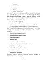 Referāts 'Elektroniskās norēķinu sistēmas', 16.