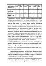 Referāts 'Elektroniskās norēķinu sistēmas', 18.