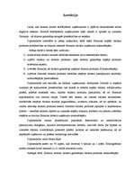 Diplomdarbs 'Tūrisma produktu attīstības process Jūrmalā un tā ietekme uz uzņēmumu konkurētsp', 2.