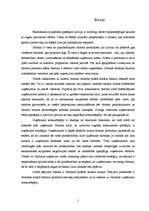 Diplomdarbs 'Tūrisma produktu attīstības process Jūrmalā un tā ietekme uz uzņēmumu konkurētsp', 5.