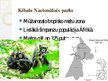 Prezentācija 'Dienvidāfrikas un Austrumāfrikas valstis', 19.
