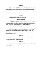 Paraugs 'Modes industrija - modes skates scenārijs', 4.