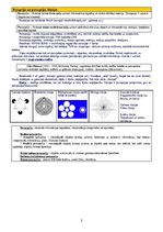 Konspekts 'Psihofizioloģija', 2.