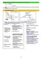 Konspekts 'Psihofizioloģija', 4.