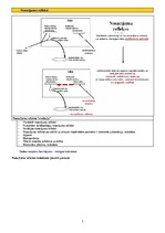 Konspekts 'Psihofizioloģija', 5.