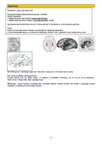 Konspekts 'Psihofizioloģija', 9.