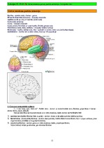 Konspekts 'Psihofizioloģija', 15.
