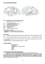 Konspekts 'Psihofizioloģija', 16.