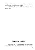 Referāts 'Nīčes jauno vērtību filosofija', 9.