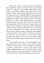 Referāts 'Izvarošanas kvalifikācijas problēmas', 13.