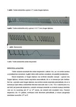 Paraugs 'Sirds fizioloģija', 3.