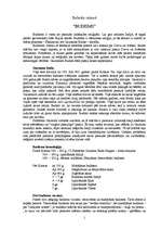 Referāts 'Budisms', 1.