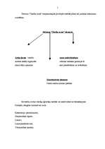 Referāts 'Starptautisko privāto tiesību avoti', 5.