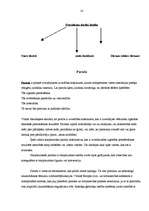 Referāts 'Starptautisko privāto tiesību avoti', 14.