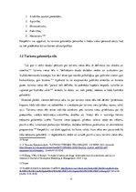 Referāts 'Tūrisma galamērķa uztvere Austrijas kā prioritārā mērķa tirgū', 9.