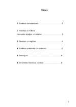 Referāts 'Estētikas pamatjēdziens', 2.