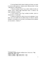 Referāts 'Estētikas pamatjēdziens', 7.