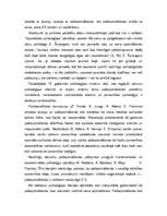 Referāts 'Psihologu atziņas par identitāti', 2.