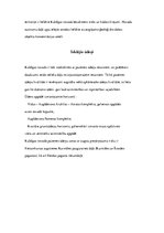 Referāts 'Kuldīgas novads', 4.