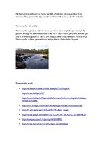 Referāts 'Kuldīgas novads', 10.