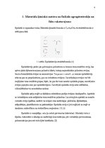 Referāts 'Epoksīdi', 4.