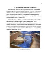 Referāts 'Epoksīdi', 11.